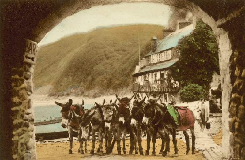 Clovelly, Racing Stud af English Photographer