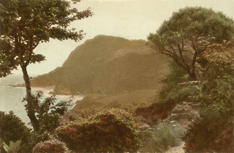Ilfracombe, Hillsborough fra St James Gardens af English Photographer