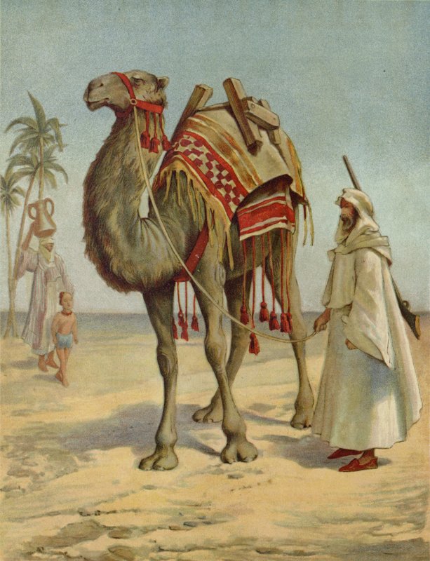 En arabisk købmand af English School