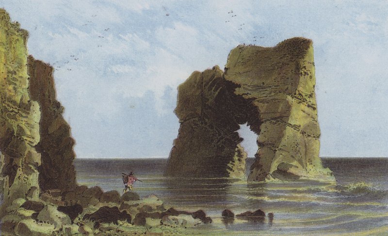 Bueformet klippe, ferskvandsbugten af English School