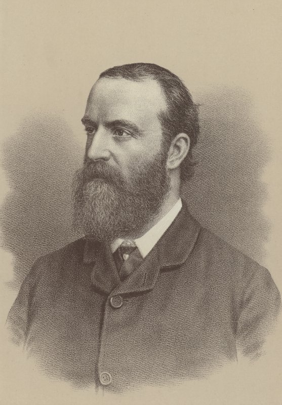 Charles Stewart Parnell, irsk nationalistisk politisk leder, jordreformagitator og grundlægger og leder af det irske parlamentariske parti af English School