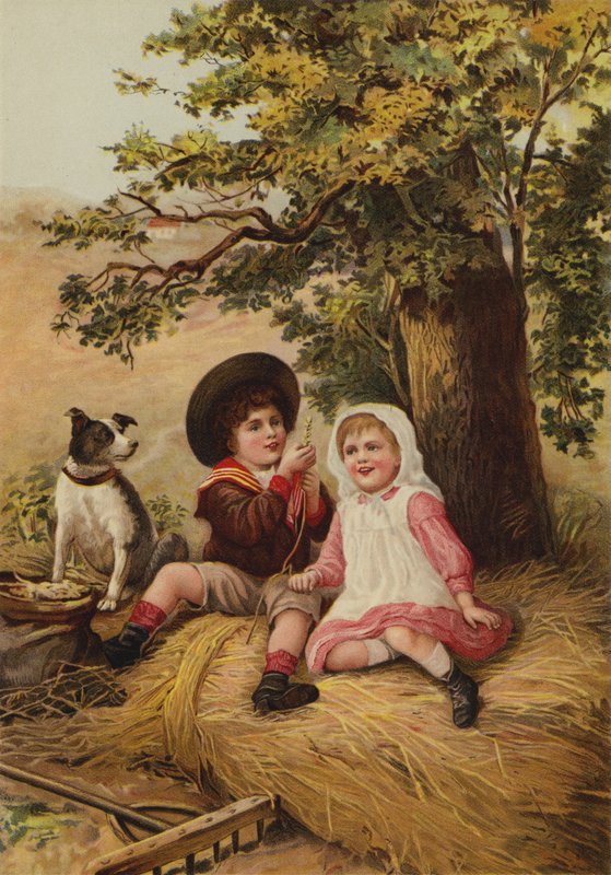Børn leger på landet af English School