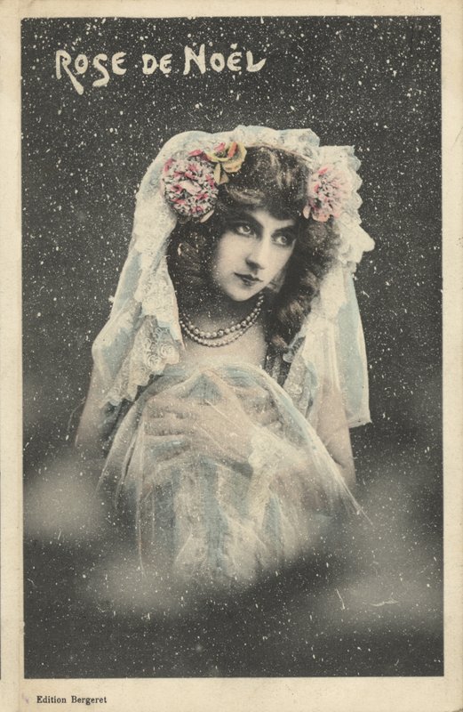 Julerose af French Photographer