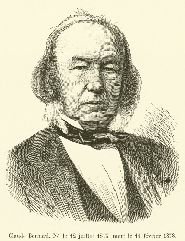 Claude Bernard, Født 12. juli 1813 Død 11. februar 1878 af French School