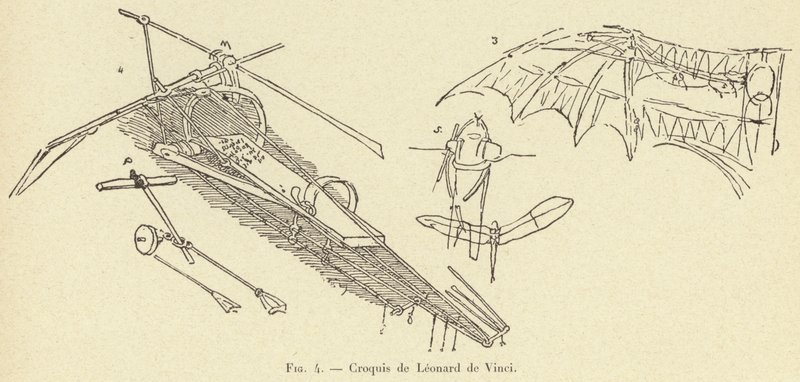 skitse af Leonardo da Vinci af French School