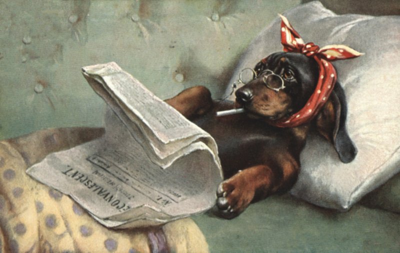 Hund læser en avis af French School