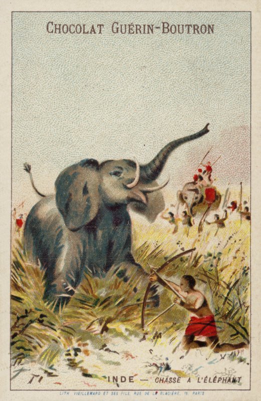 Elefantjagt, Indien af French School