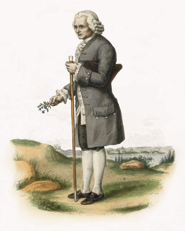 Jean-Jacques Rousseau af French School