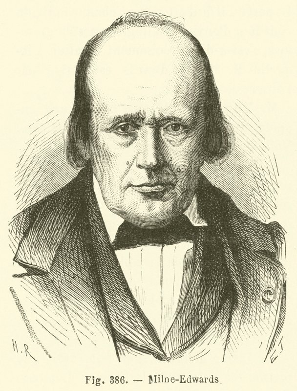 Milne-Edwards af French School