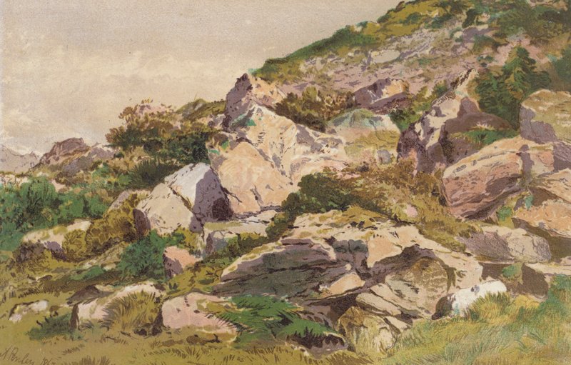 Undersøgelse af sten på nordsiden af Taliaris, nær Llandilo, Sydwales (chromolitho) af Aaron Edwin Penley