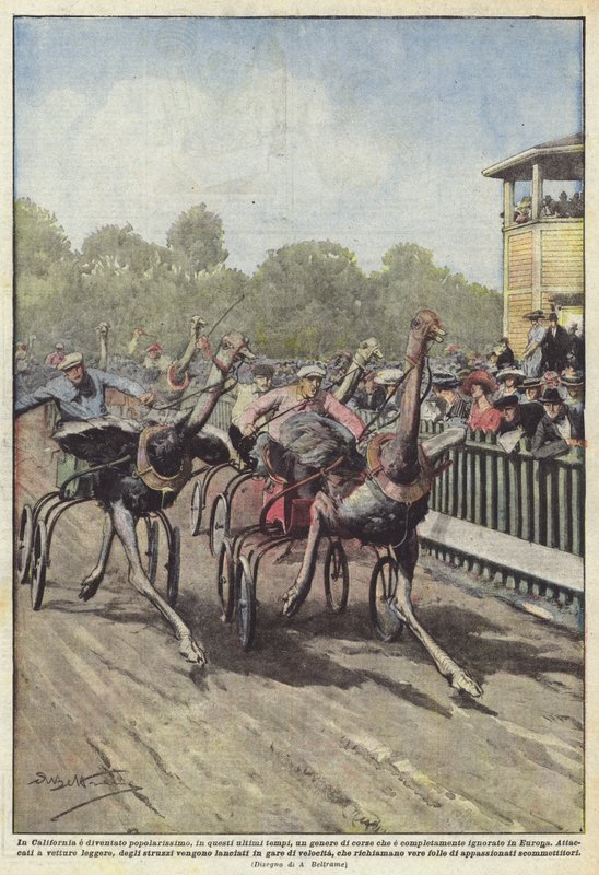 I Californien er blevet meget populær, i nyere tid, en genre af racing, der? af Achille Beltrame