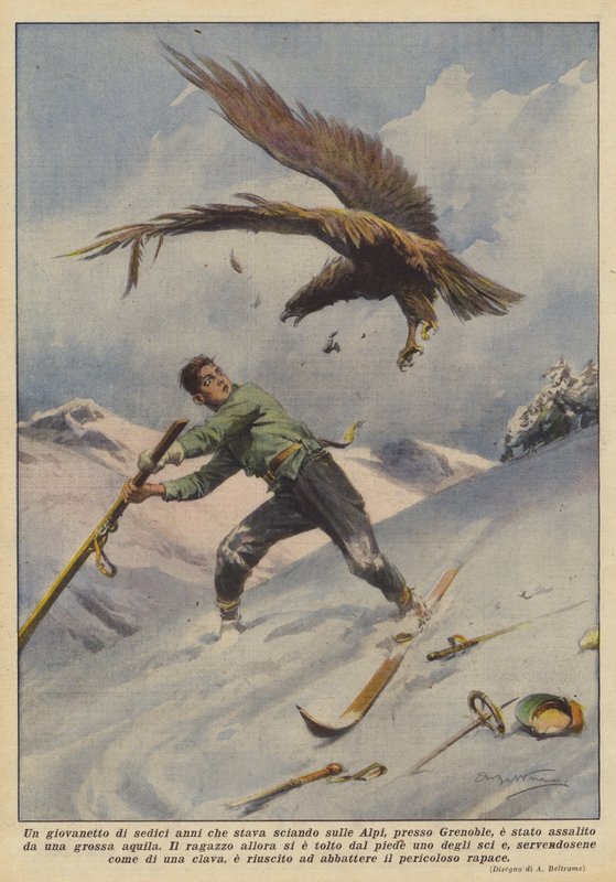 En seksten-årig dreng, der stod på ski i Alperne, nær Grenoble, blev angrebet af en stor ørn af Achille Beltrame