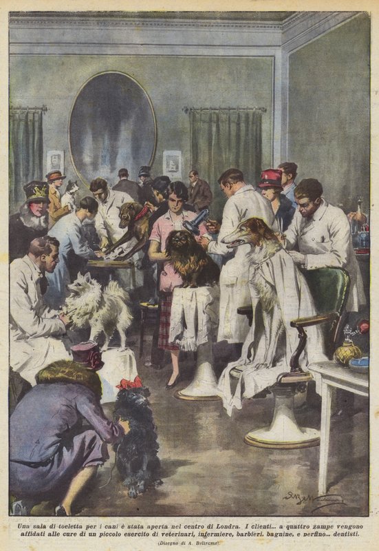 Der er åbnet et hundefrisørum i det centrale London af Achille Beltrame