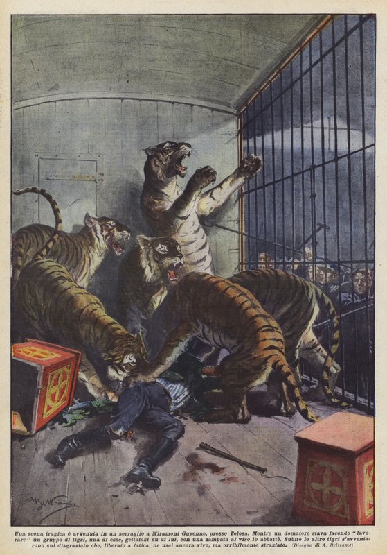 En tragisk scene fandt sted i et menageri i Miramont Guyenne, nær Toulouse. af Achille Beltrame