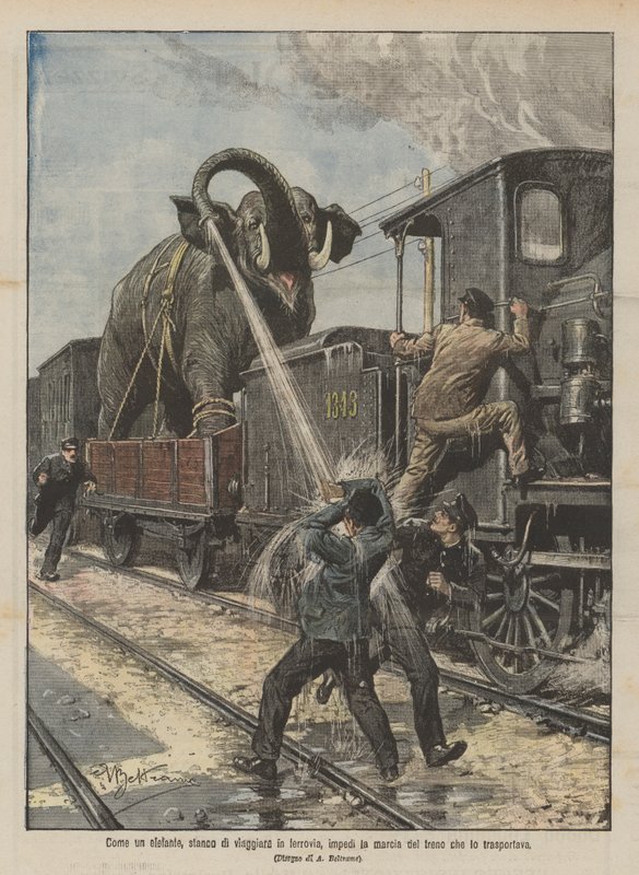 Som en elefant, der er træt af at rejse med jernbane, standsede den toget, der transporterede den. af Achille Beltrame