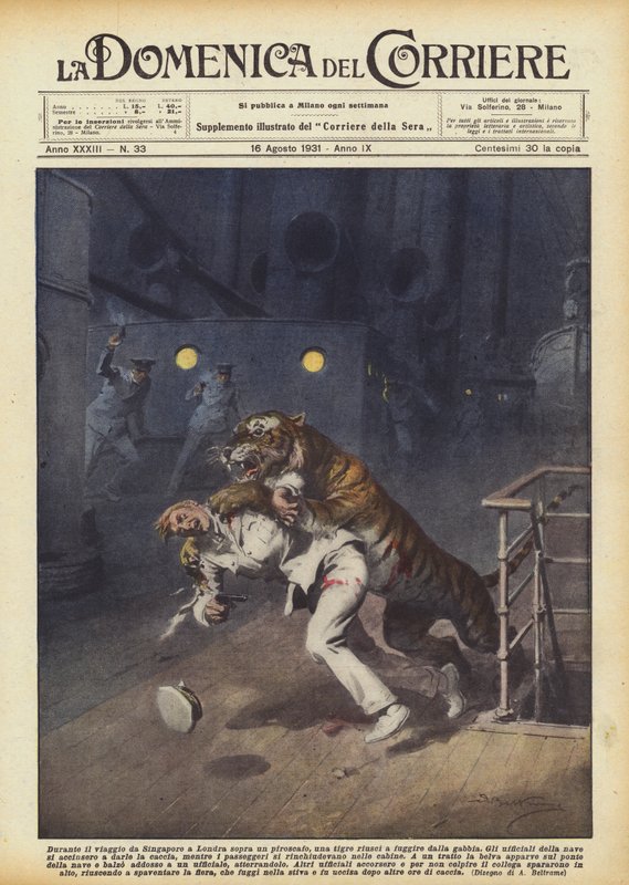 Mens han rejste fra Singapore til London på en damper, lykkedes det en tiger at flygte fra buret af Achille Beltrame