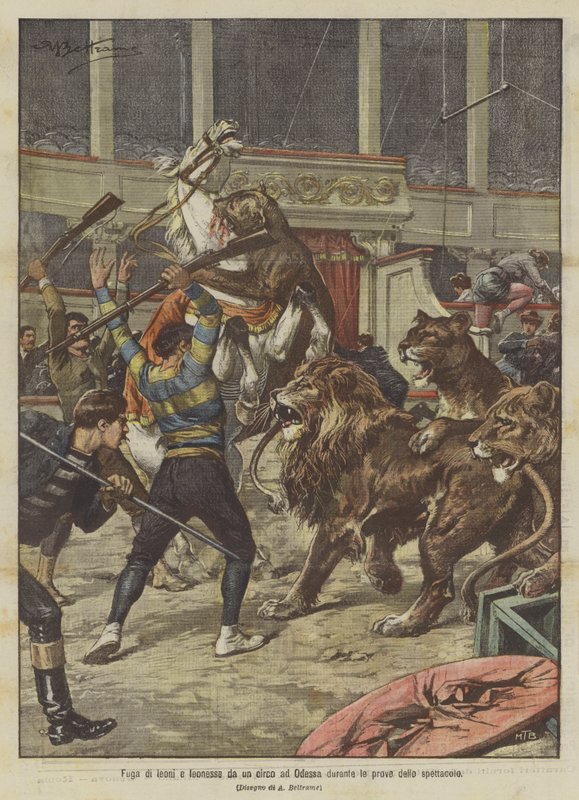 Løver og løvehunner undslipper fra et cirkus i Odessa under prøverne på et show af Achille Beltrame