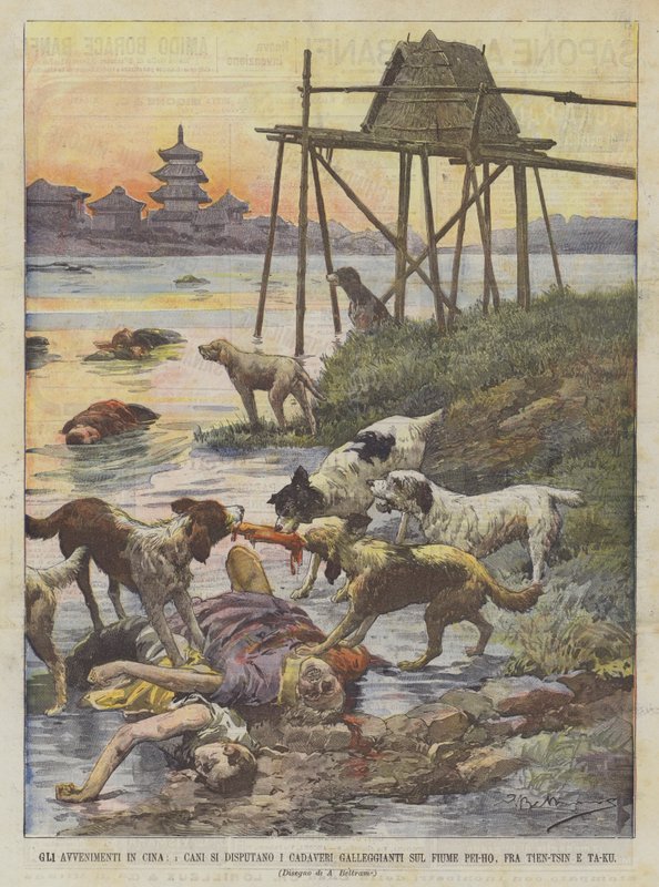 Begivenheder i Kina, Hunde skændes om flydende lig på Pei-Ho-floden mellem Tien-Tsin og Ta-Ku af Achille Beltrame