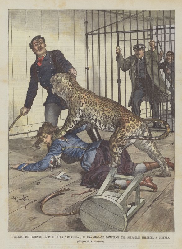 Menageriernes dramaer, begyndelsen på en ung tammers karriere i Ehlbeck-menageriet, Genève af Achille Beltrame