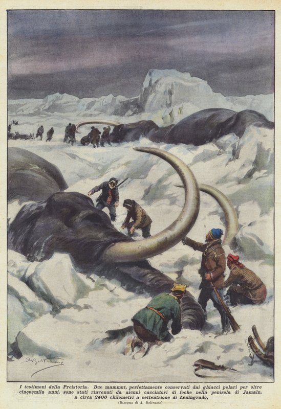 Forhistoriens vidner af Achille Beltrame