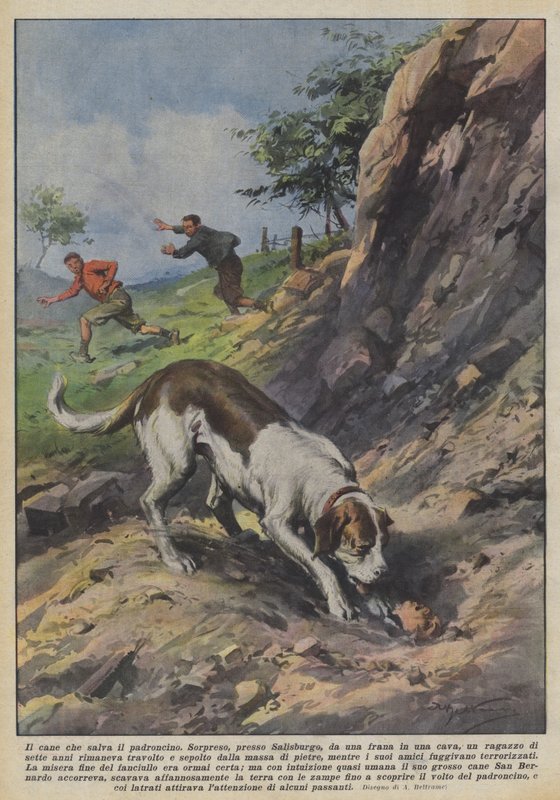 Hunden der redder ejeren af Achille Beltrame