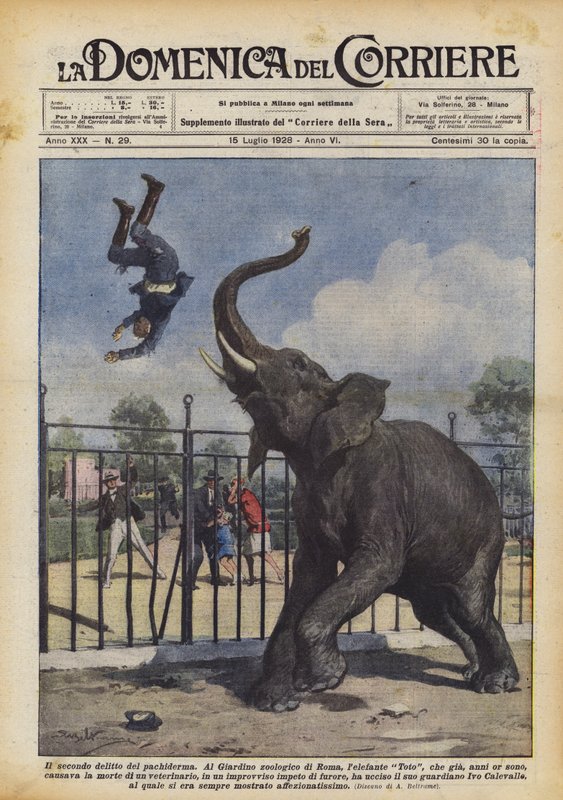 Den anden forbrydelse af pachyderm af Achille Beltrame