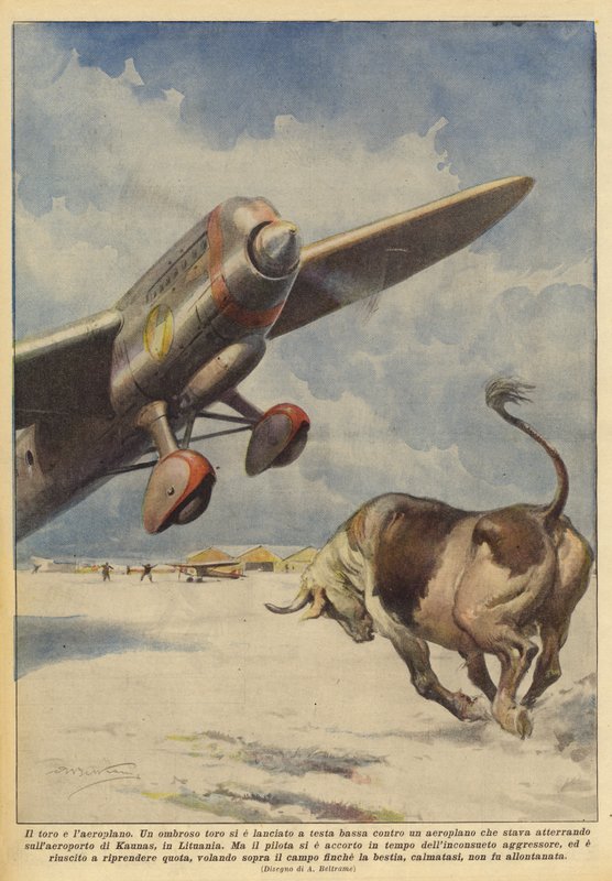 Tyren og flyvemaskinen af Achille Beltrame