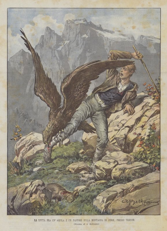 Kampen mellem en ørn og en hyrde på Zerie-bjerget i nærheden af Trieste af Achille Beltrame