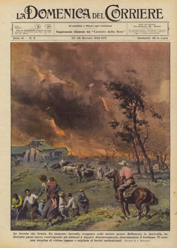 Den brændende skov af Achille Beltrame