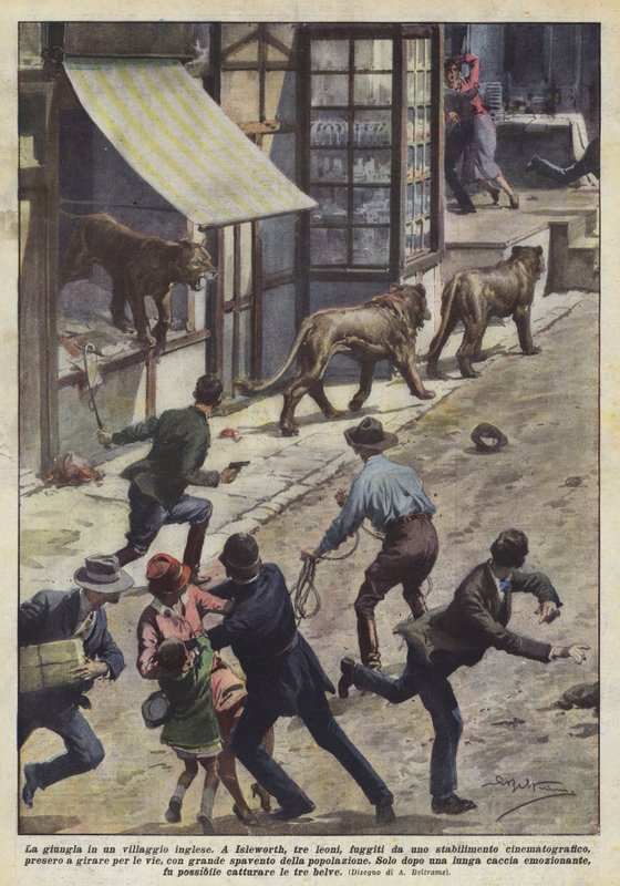 Junglen i en engelsk landsby af Achille Beltrame