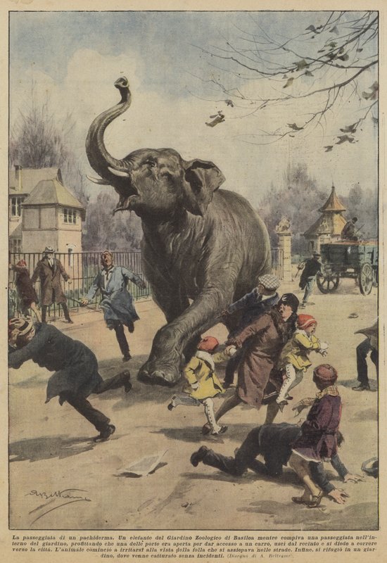 En pachyderm