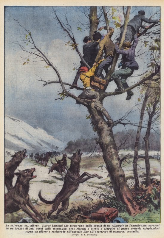 Frelse på træet af Achille Beltrame