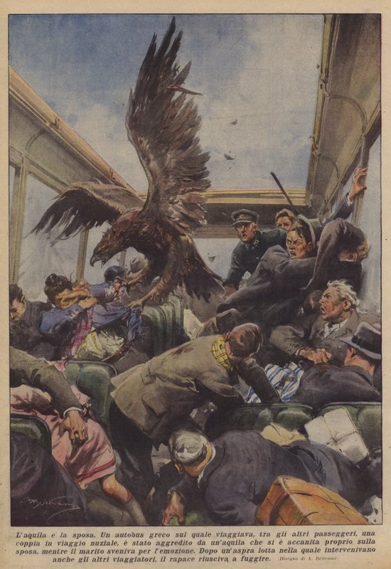 Laquila og bruden af Achille Beltrame