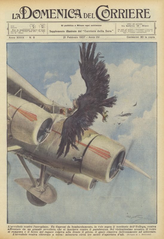 Gribben mod flyvemaskinen af Achille Beltrame
