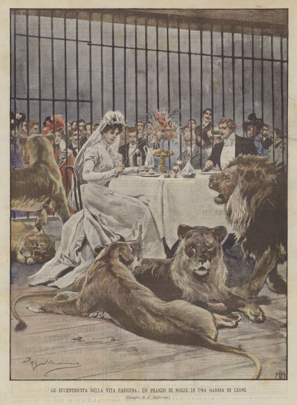Excentriciteterne i det parisiske liv, en bryllupsmiddag i et løvebur af Achille Beltrame