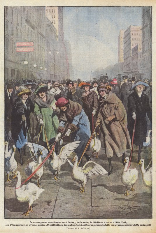 Amerikanske udskejelser, et Gæs Derby, på Madison Avenue i New York, til indvielsen? af Achille Beltrame