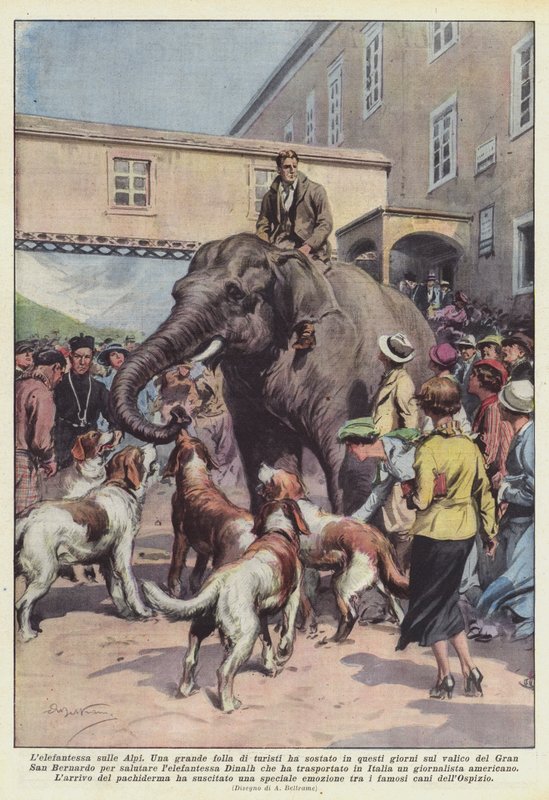 Elefanten på Alperne af Achille Beltrame