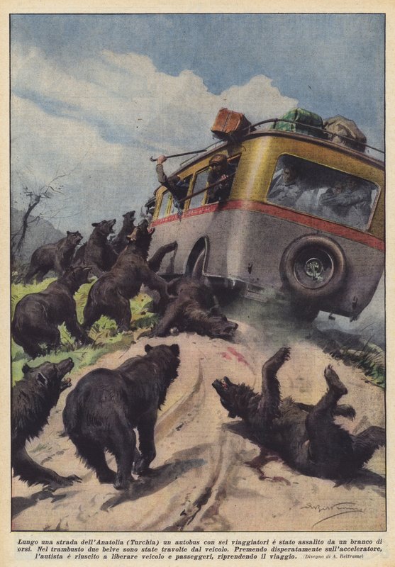Langs en vej i Anatolien (Tyrkiet) blev en bus med seks passagerer angrebet af en flok bjørne af Achille Beltrame