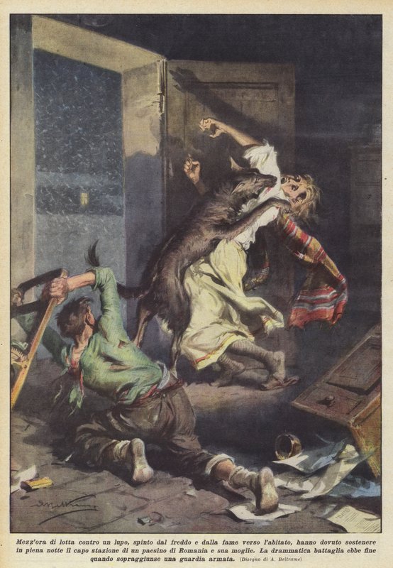 En halv times kamp mod en ulv, drevet af kulde og sult mod landsbyen? af Achille Beltrame