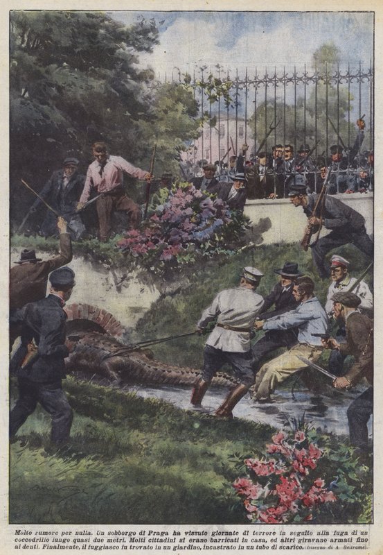 Meget ståhej om ingenting af Achille Beltrame