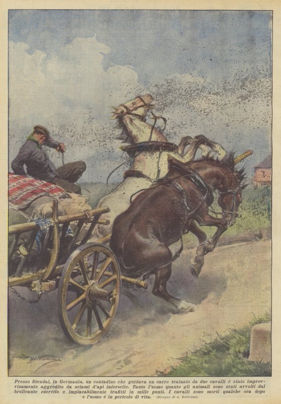 I nærheden af ​​Stendal, Tyskland, var en landmand, der kørte en to-hestes vogn? af Achille Beltrame
