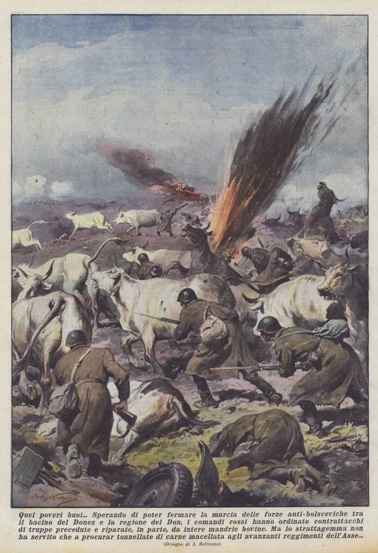 De stakkels okser af Achille Beltrame