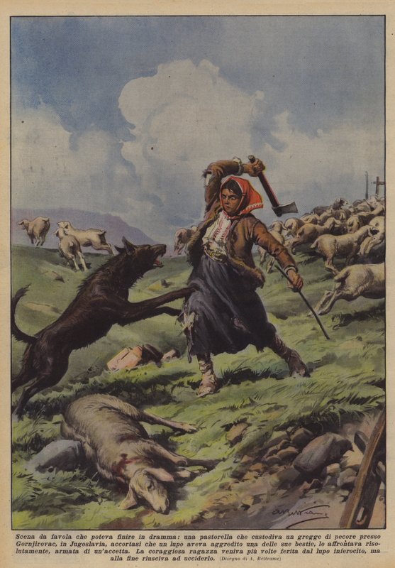 Eventyrscene, der kunne ende i drama, en hyrdinde, der vogter en flok får? af Achille Beltrame