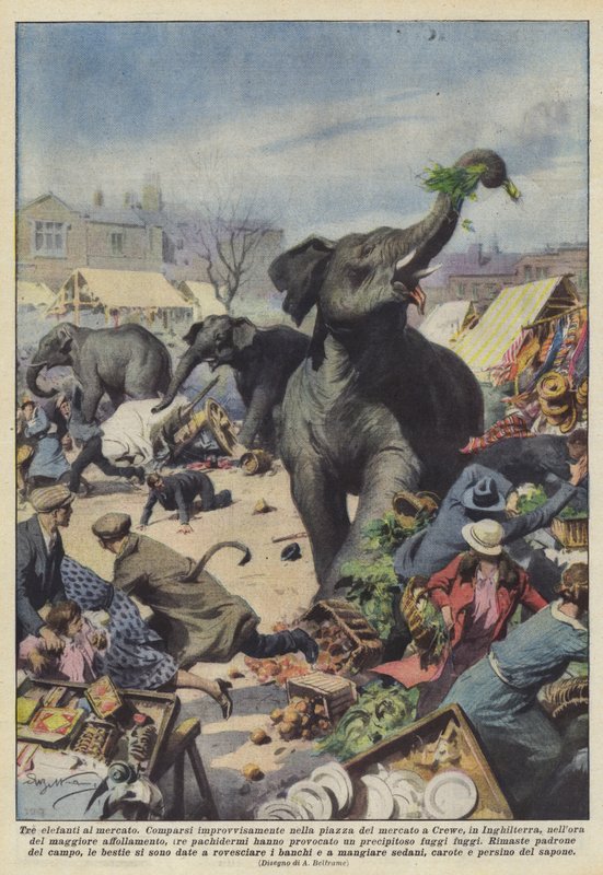Tre elefanter på markedet af Achille Beltrame