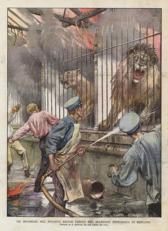 A Fire in the Wild Beasts tildeling i Berlins zoologiske have (farve litho) af Achille Beltrame