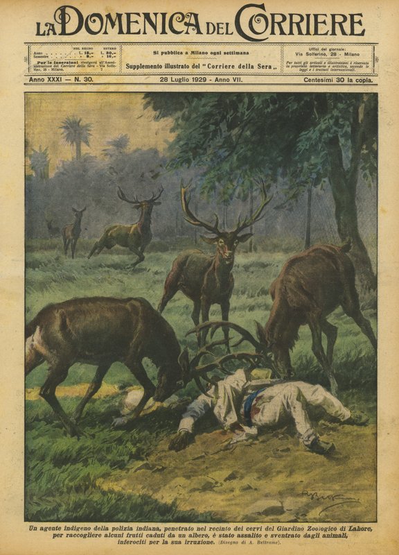 En indfødt agent fra det indiske politi brød ind i hjorteindhegningen i Zoologisk Have? af Achille Beltrame