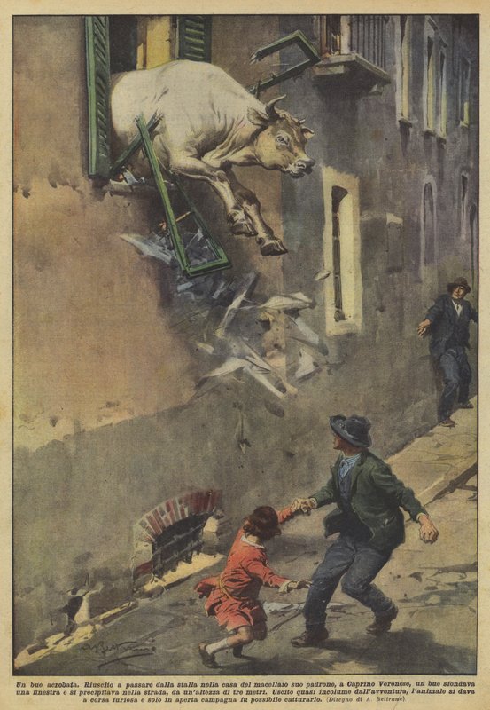 En akrobatokse af Achille Beltrame