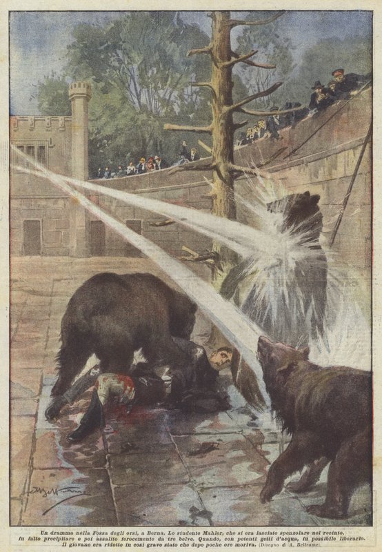 Et drama i Bjørnegraven i Bern af Achille Beltrame