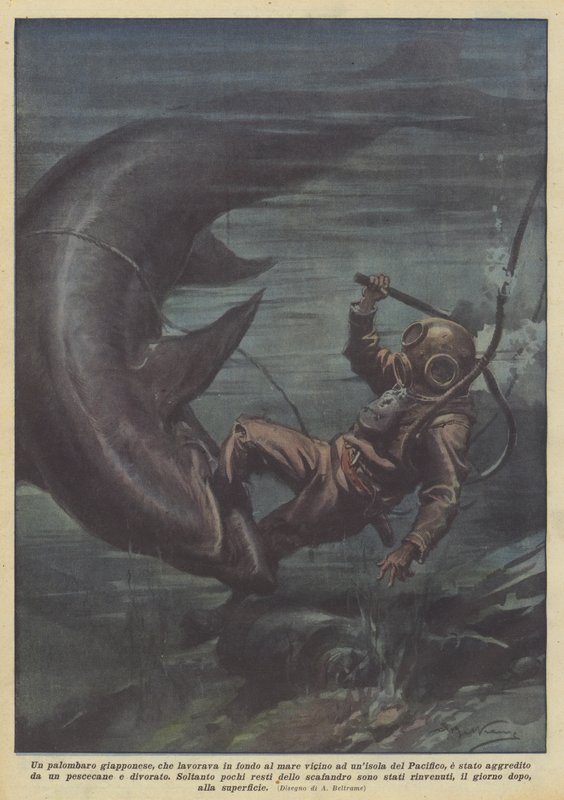 En japansk dykker, der arbejder på bunden af havet nær en ø i Stillehavet? af Achille Beltrame