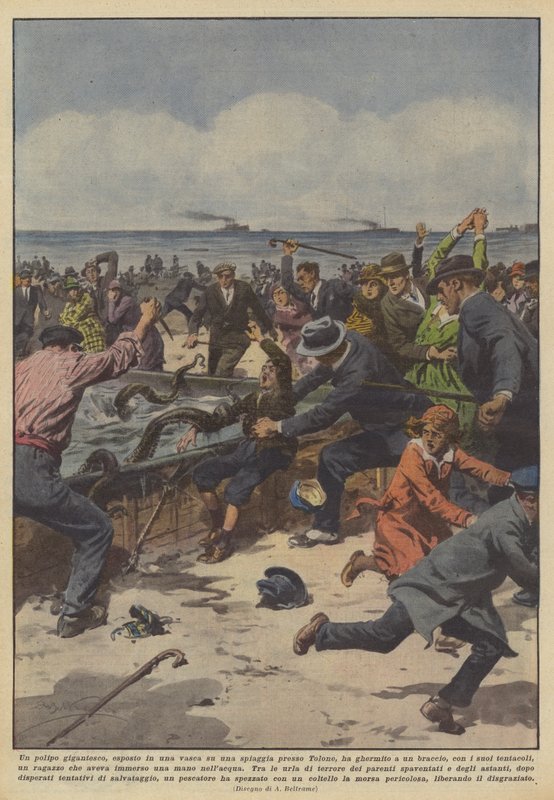 Har en kæmpe blæksprutte, vist i en balje på en strand nær Toulon, grebet? af Achille Beltrame